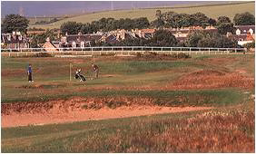 Musselburgh Links Old