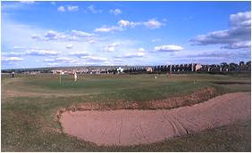 Musselburgh Links Old