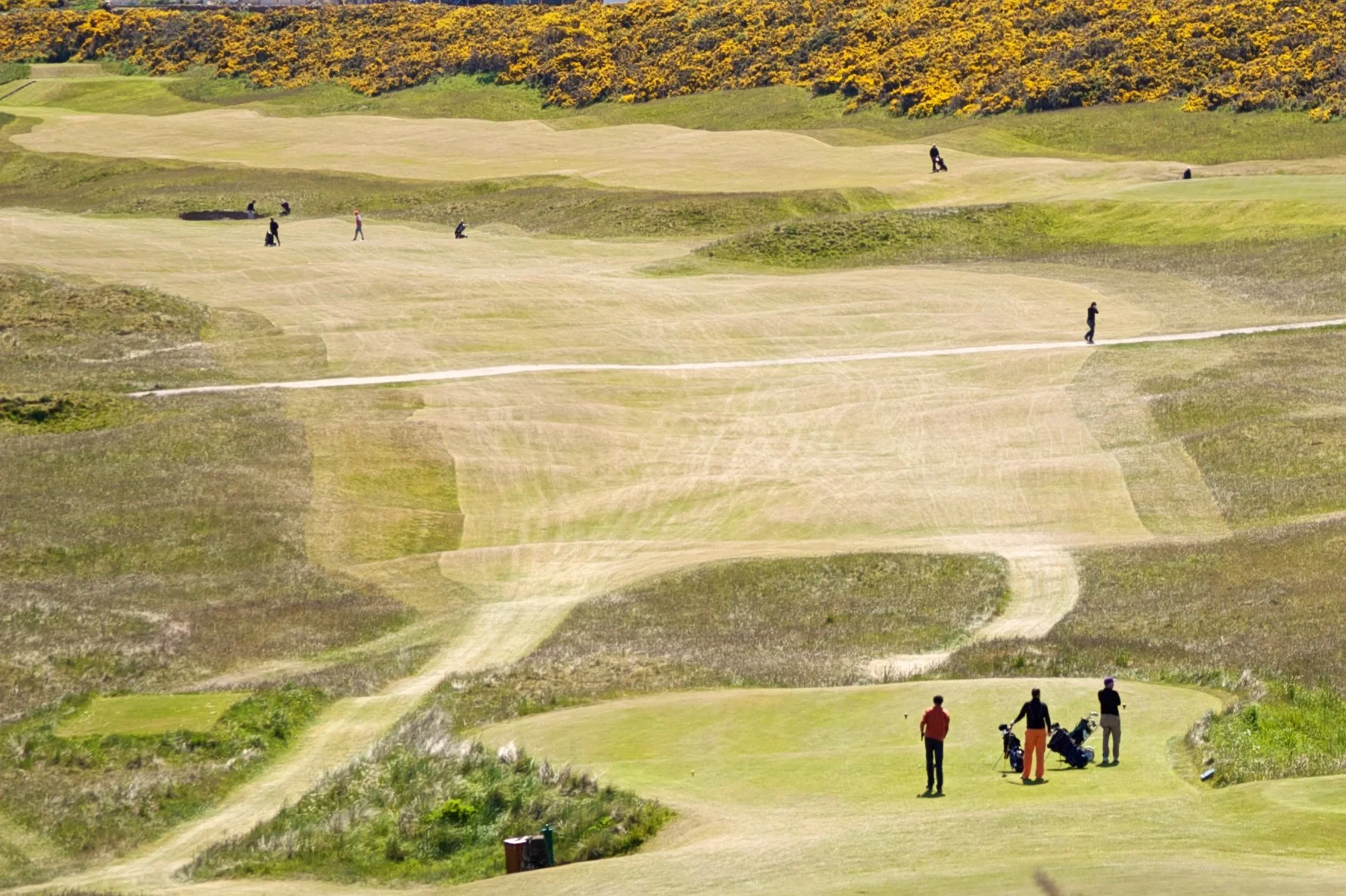 Royal Dornoch Golf Club (Championship Course)