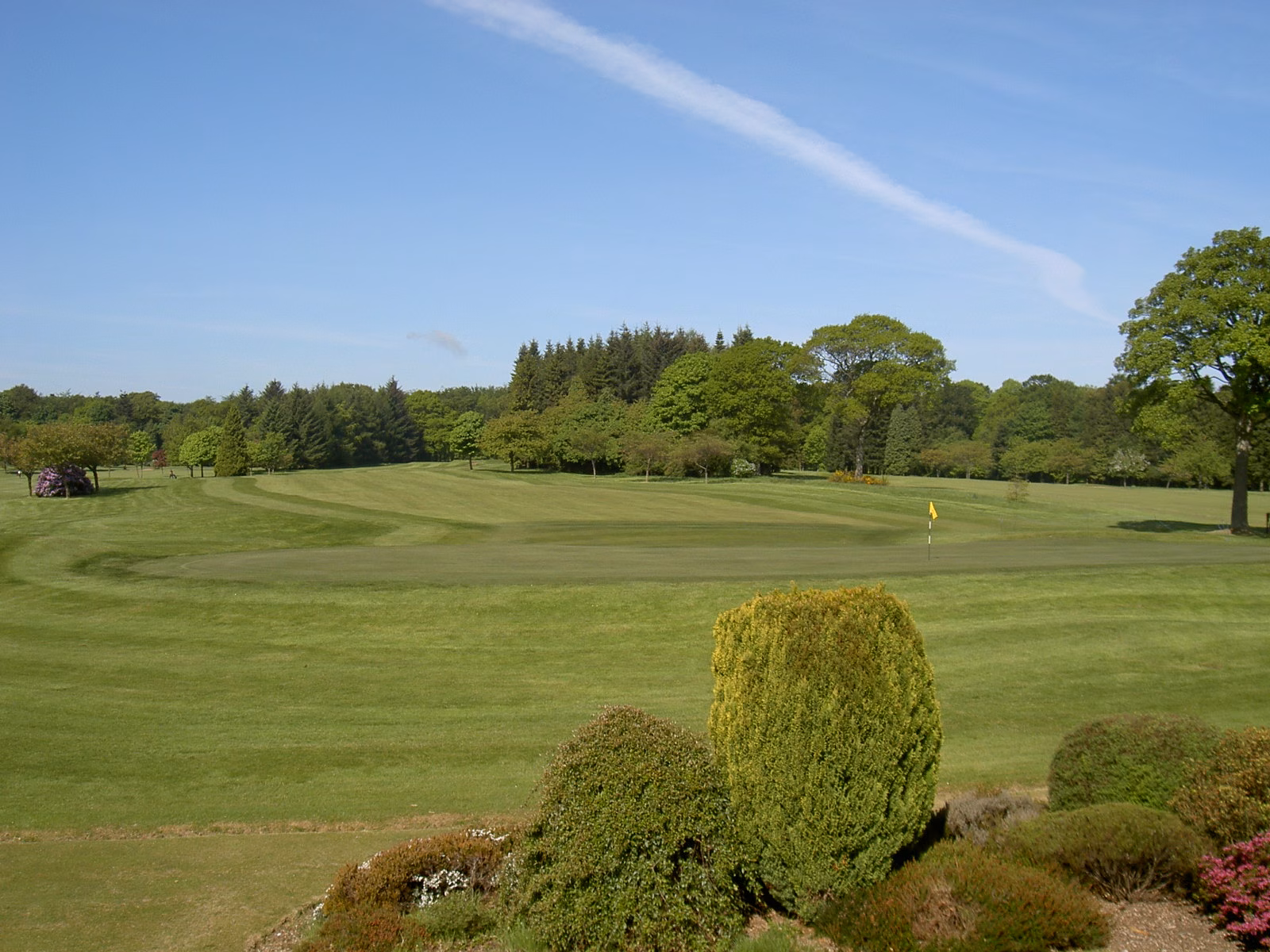 Downfield Golf Club