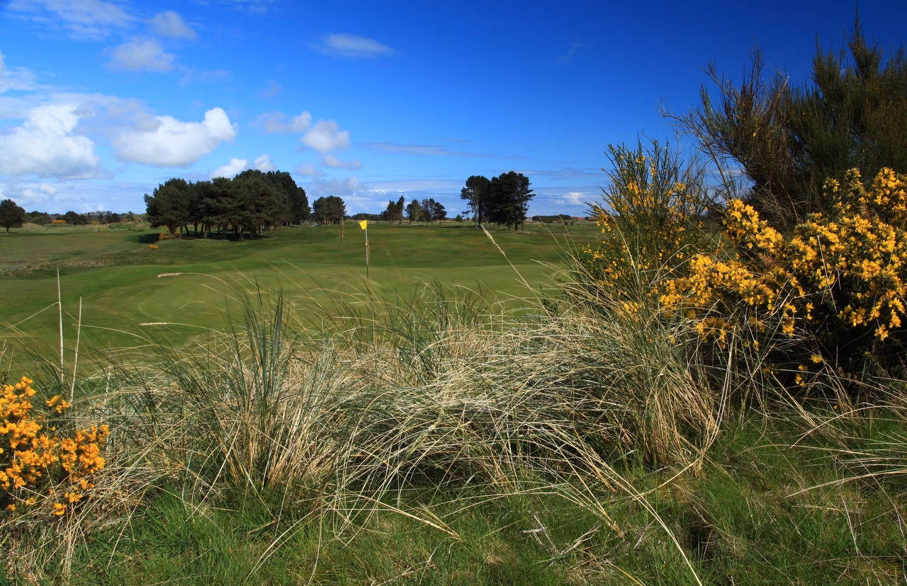 Monifieth Golf Links (Medal Course)