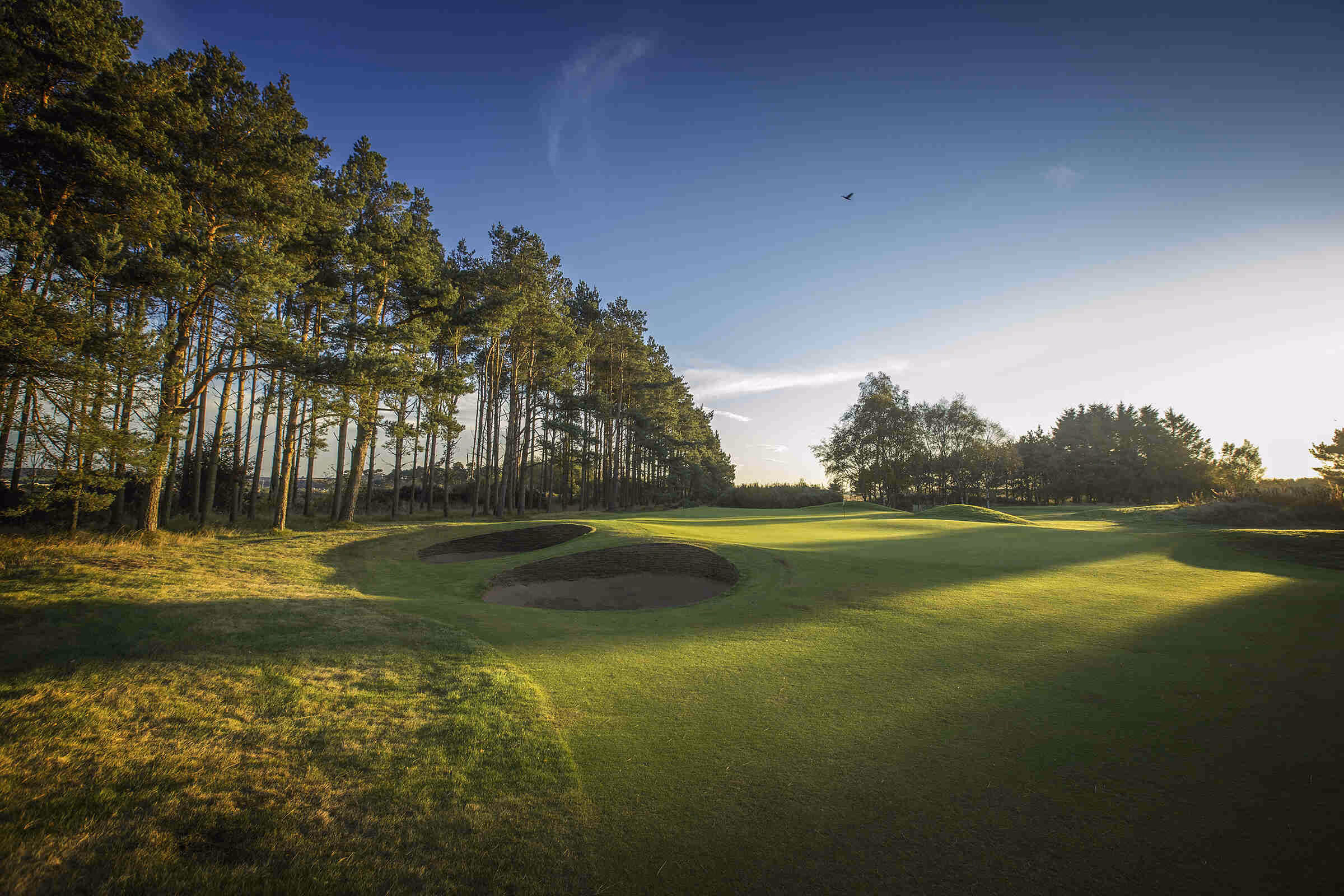 Panmure Golf Club