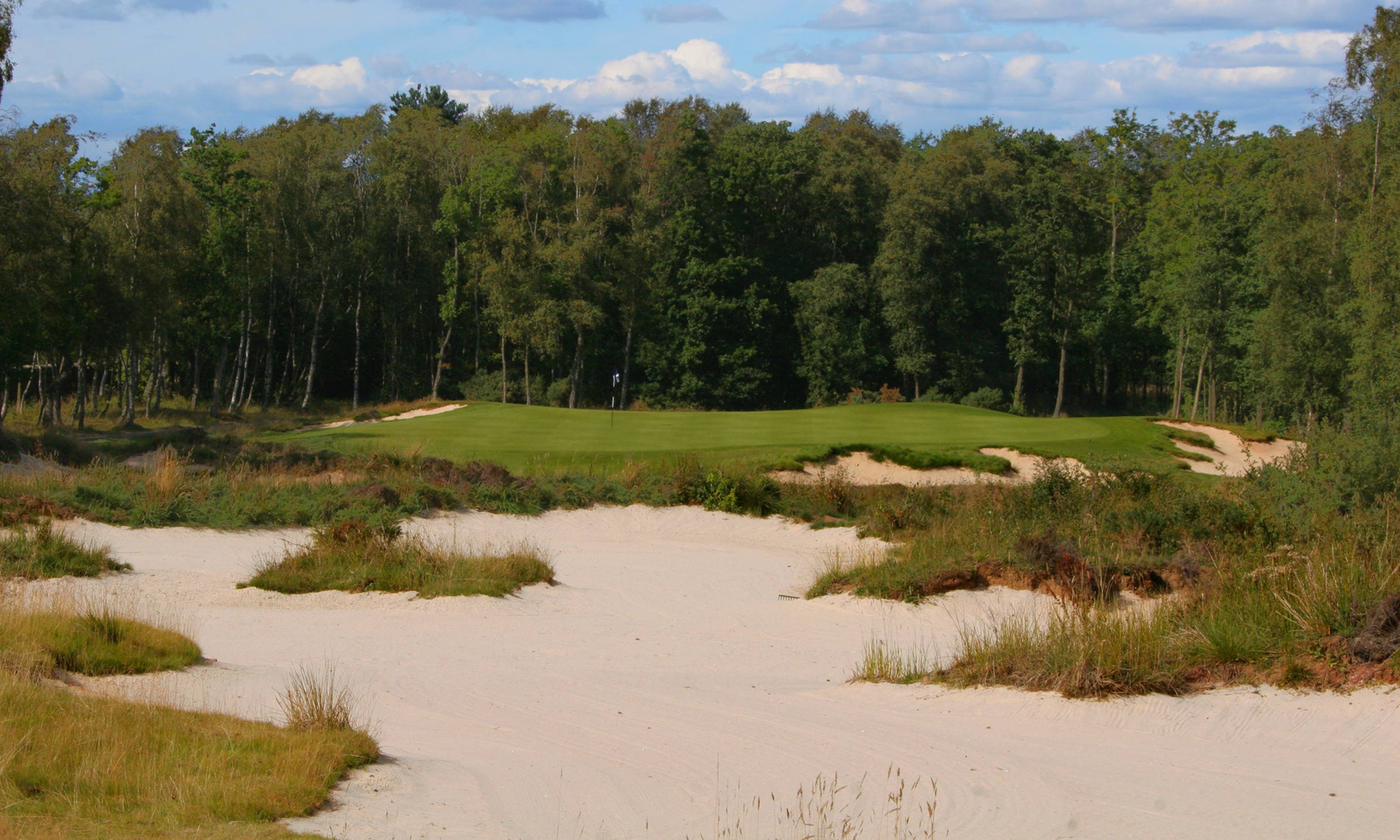 St Andrews Links (Craigtoun Course)