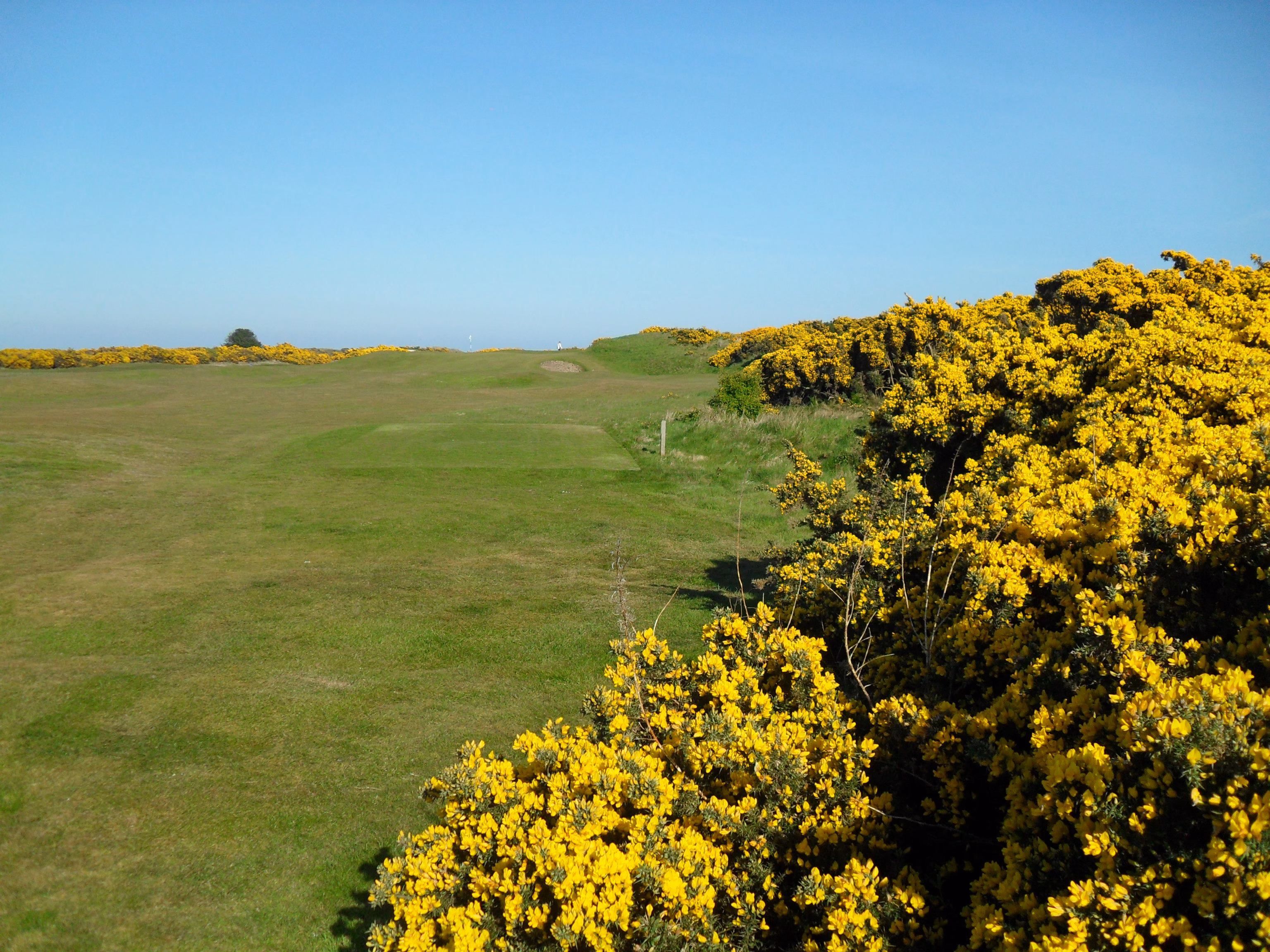 St Andrews Links (Eden Course)
