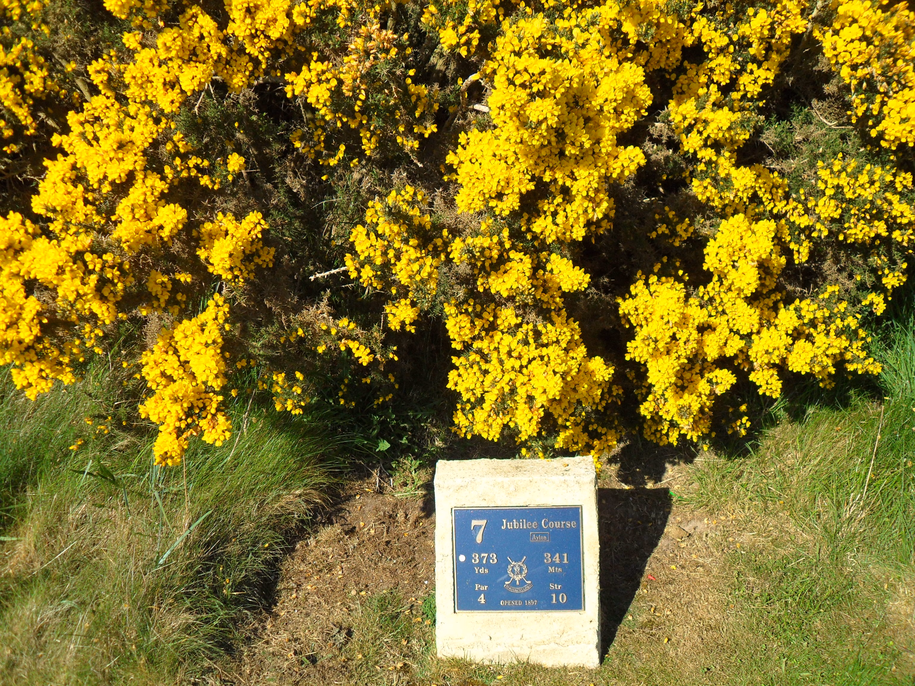 St Andrews Links (Jubilee Course)
