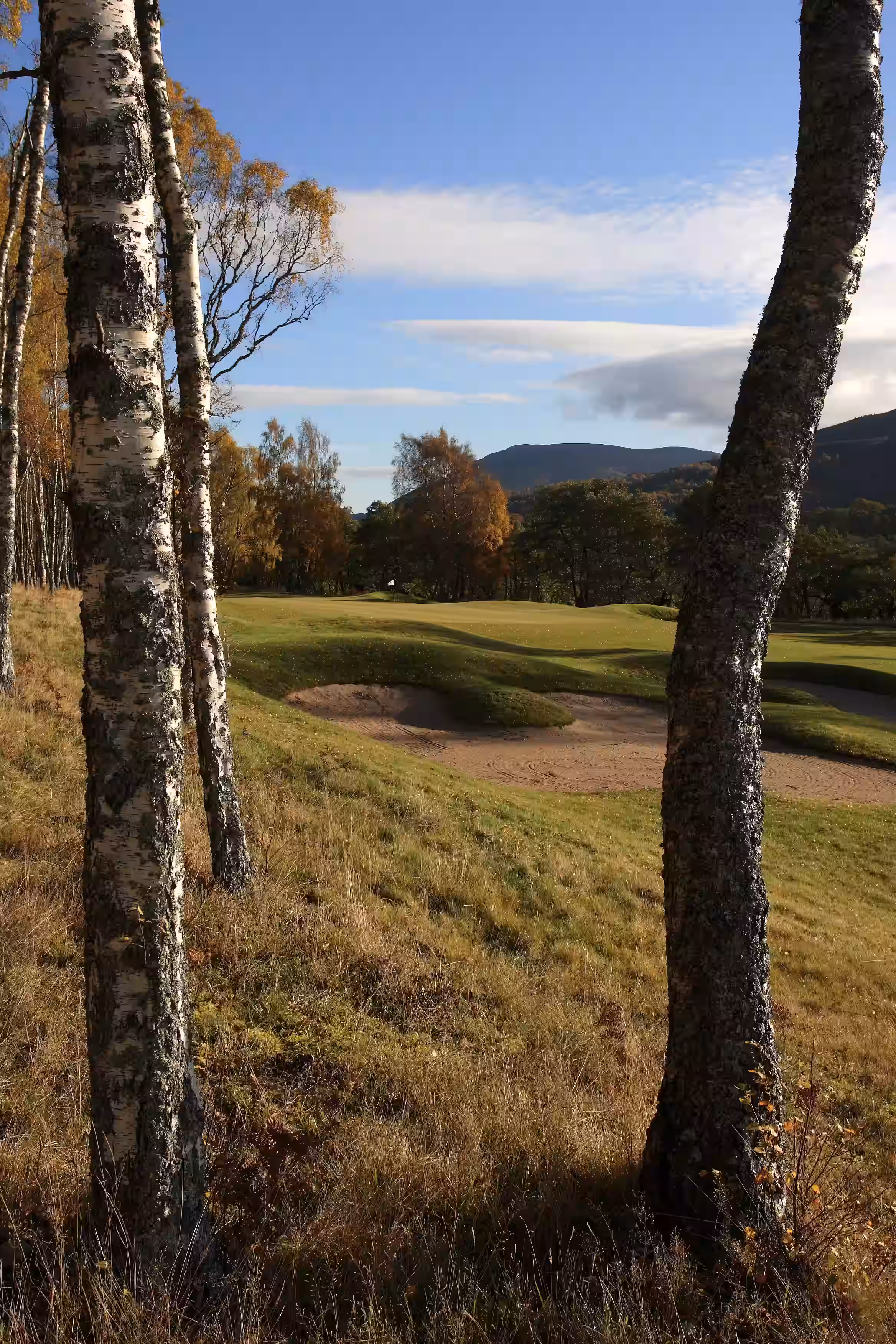 Macdonald Aviemore Resort (Spey Valley Course)