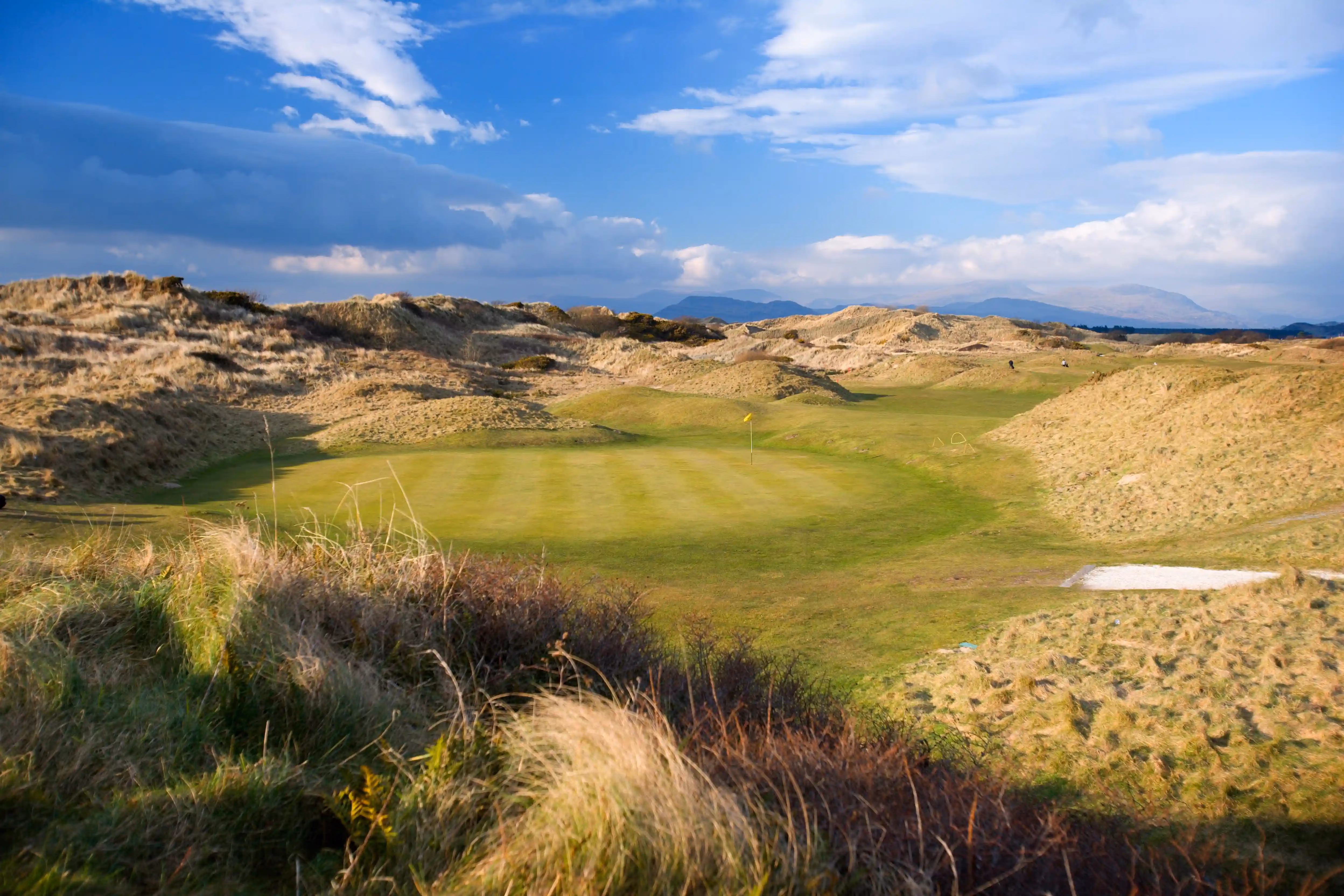 Royal St. David's Golf Club