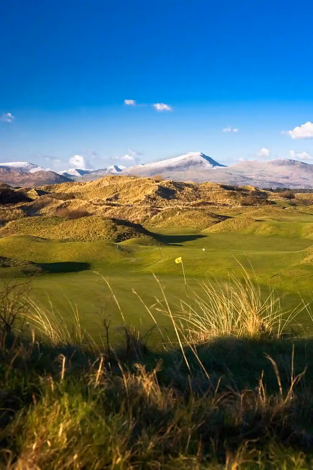 Royal St. David's Golf Club
