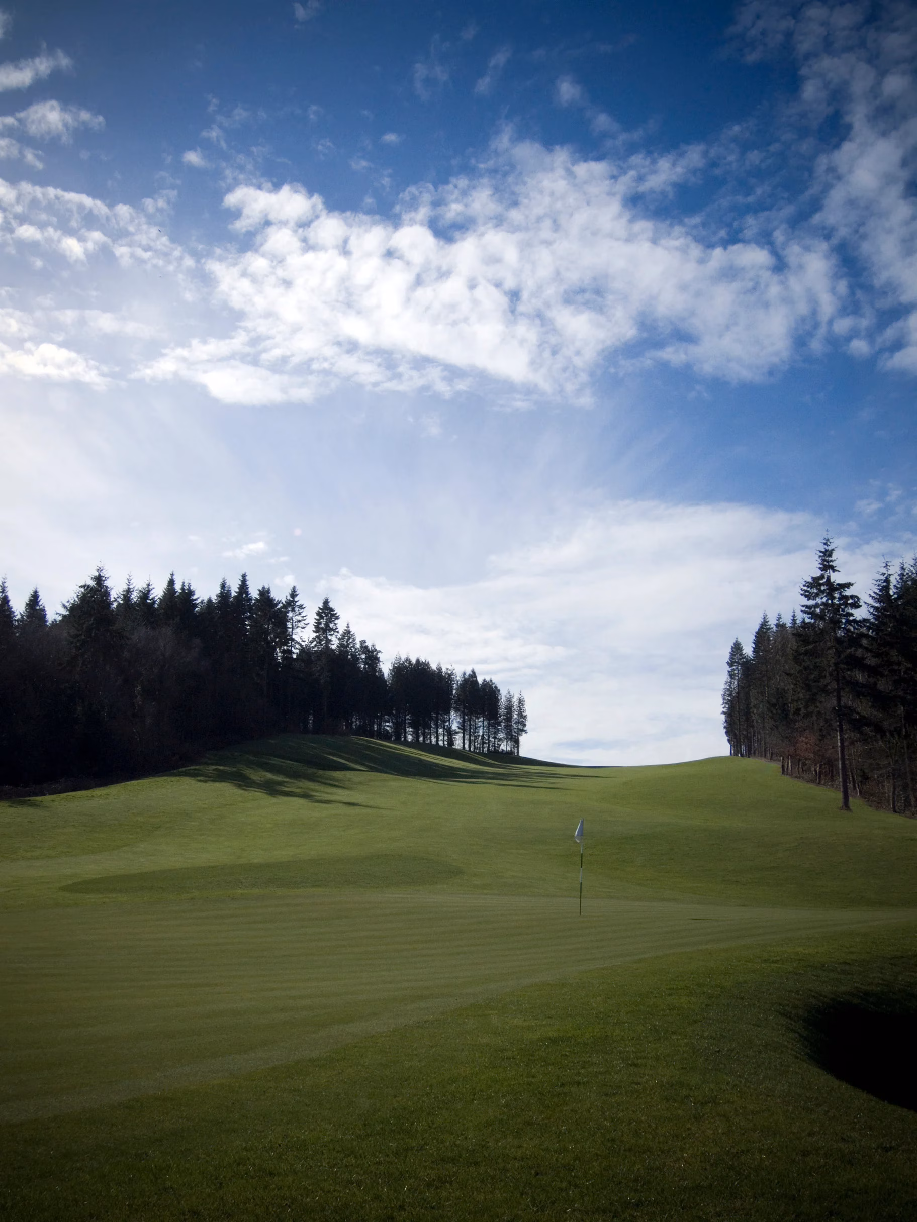 Celtic Manor Resort (Montgomerie Course)