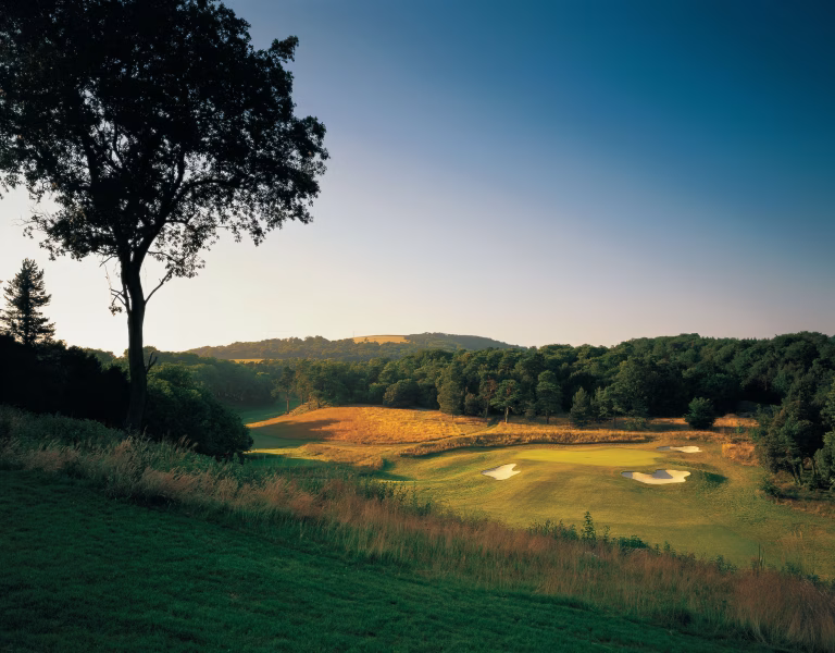 Goodwood Estate (Downs Course)