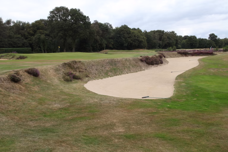Walton Heath Golf Club (Old Course)