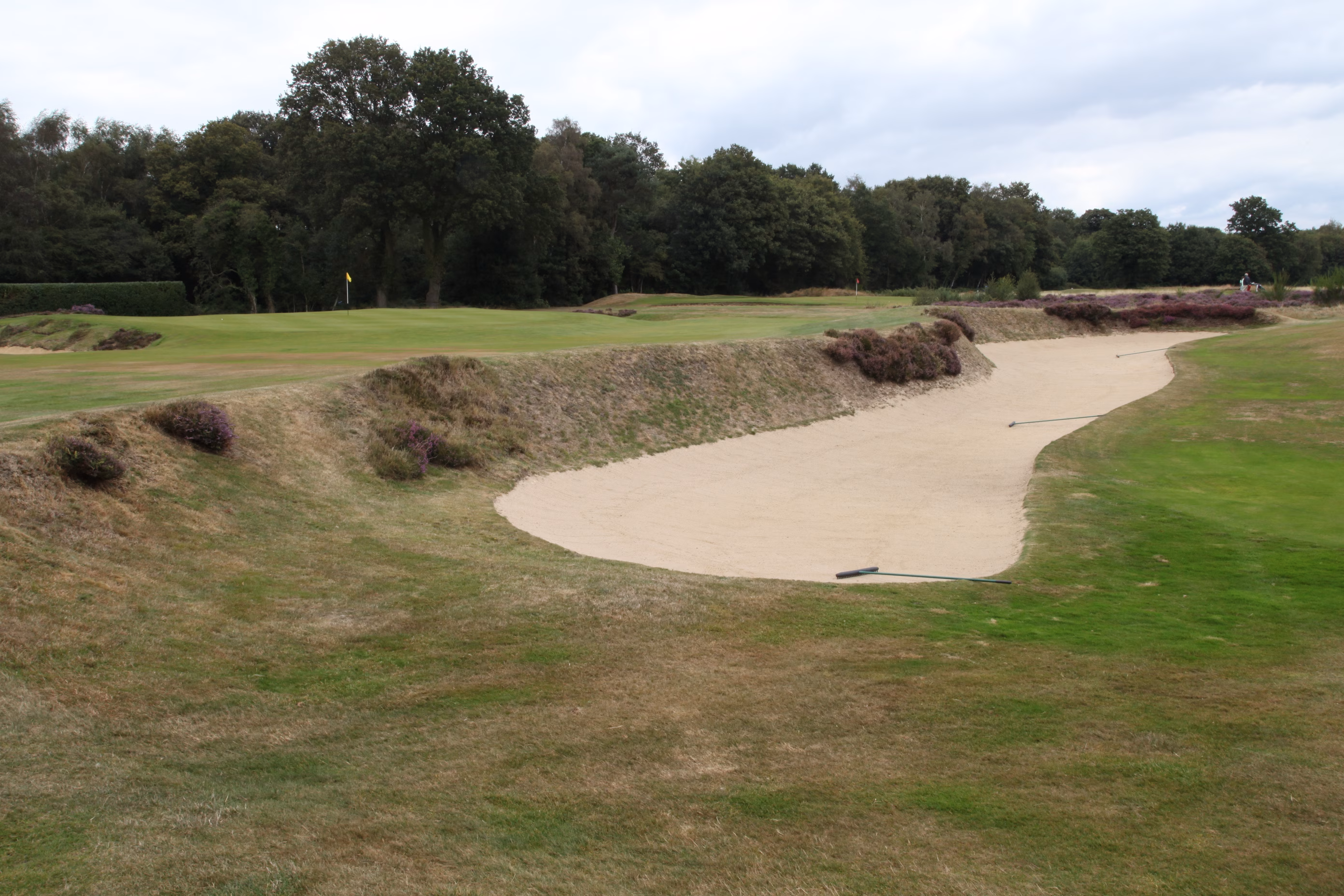 Walton Heath Golf Club (Old Course)
