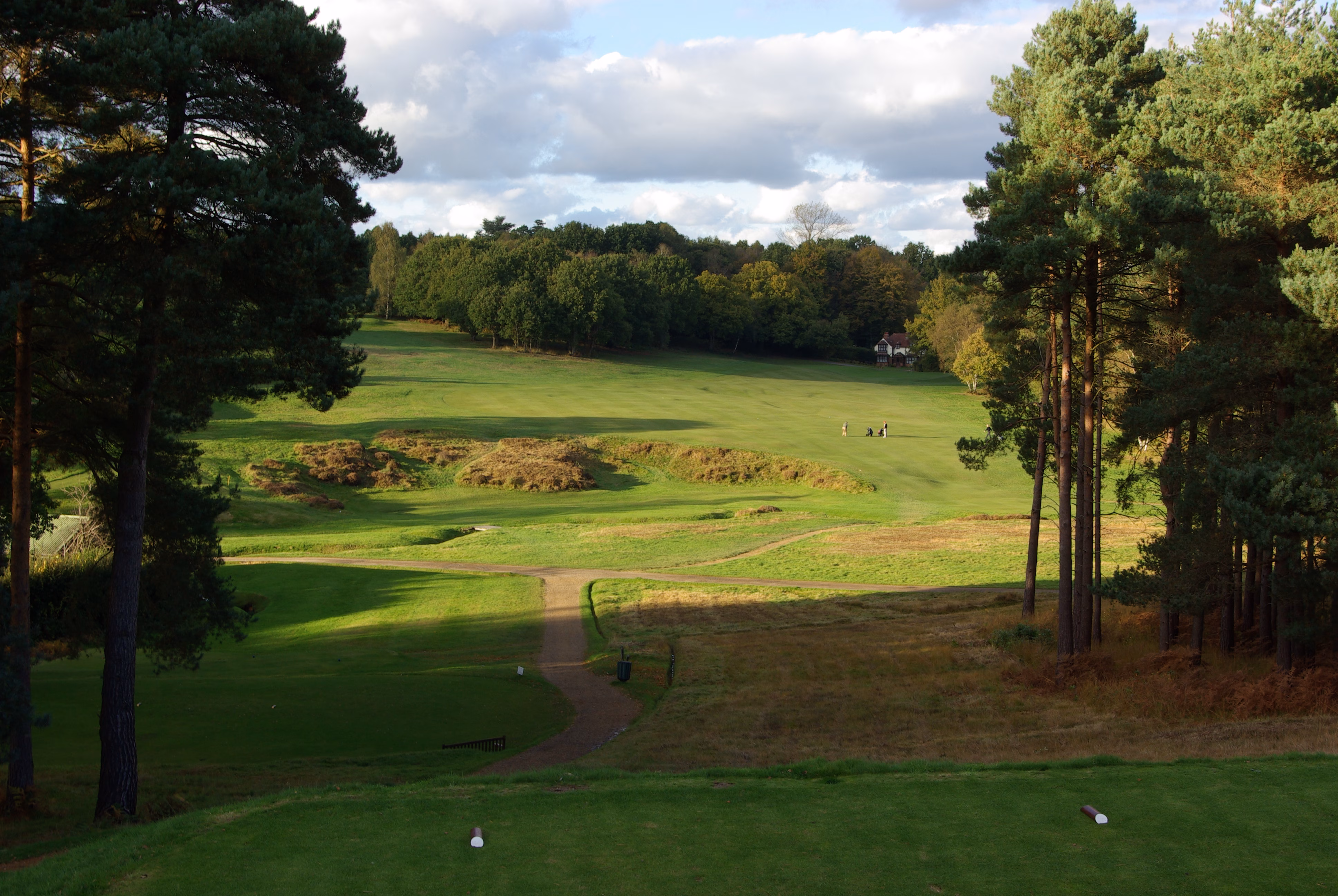Royal Ashdown Forest Golf Club (Old Course)