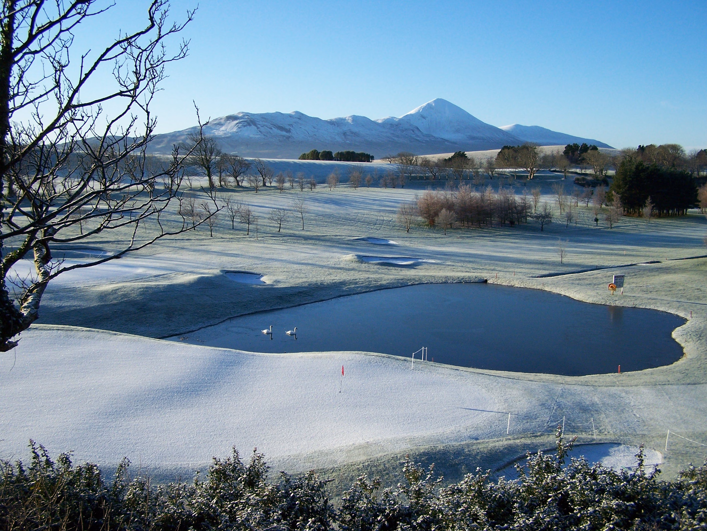 Westport Golf Club
