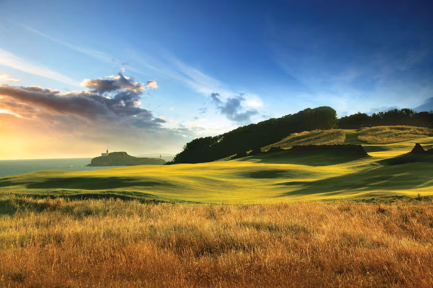 The Renaissance Club