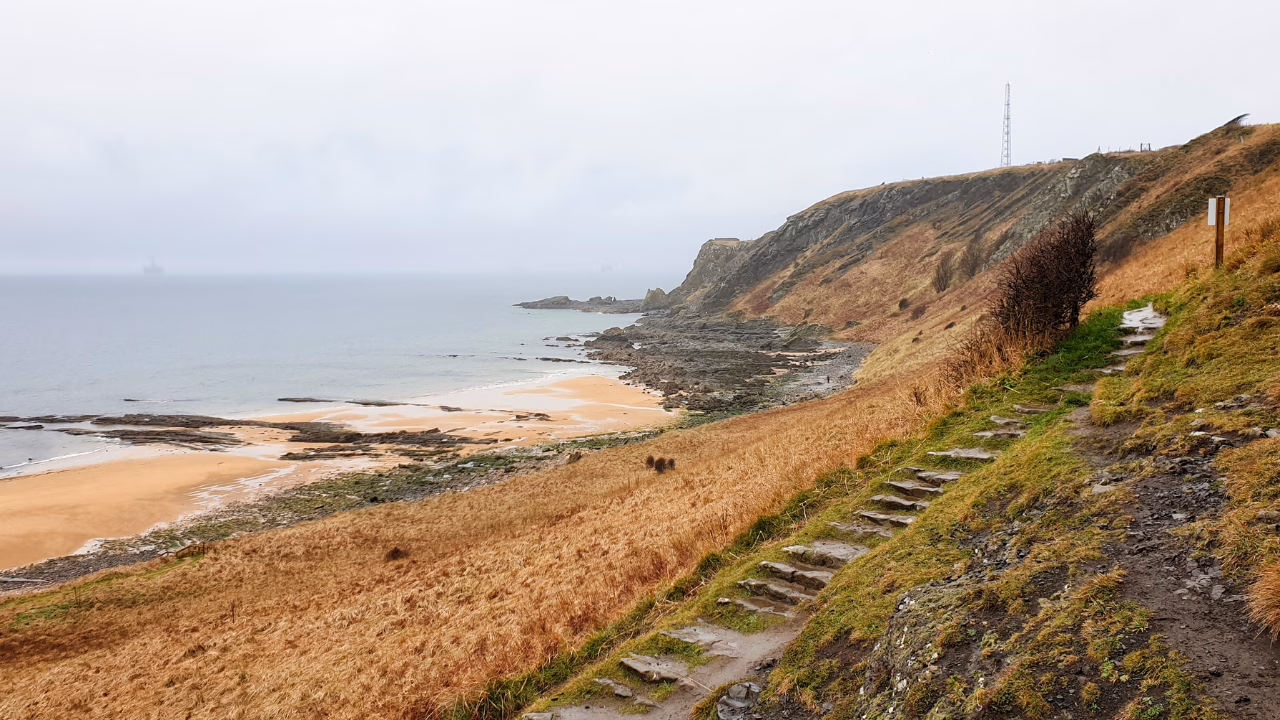 The Fife Coastal Path descending beside cliffs and a sandy East Neuk beach.