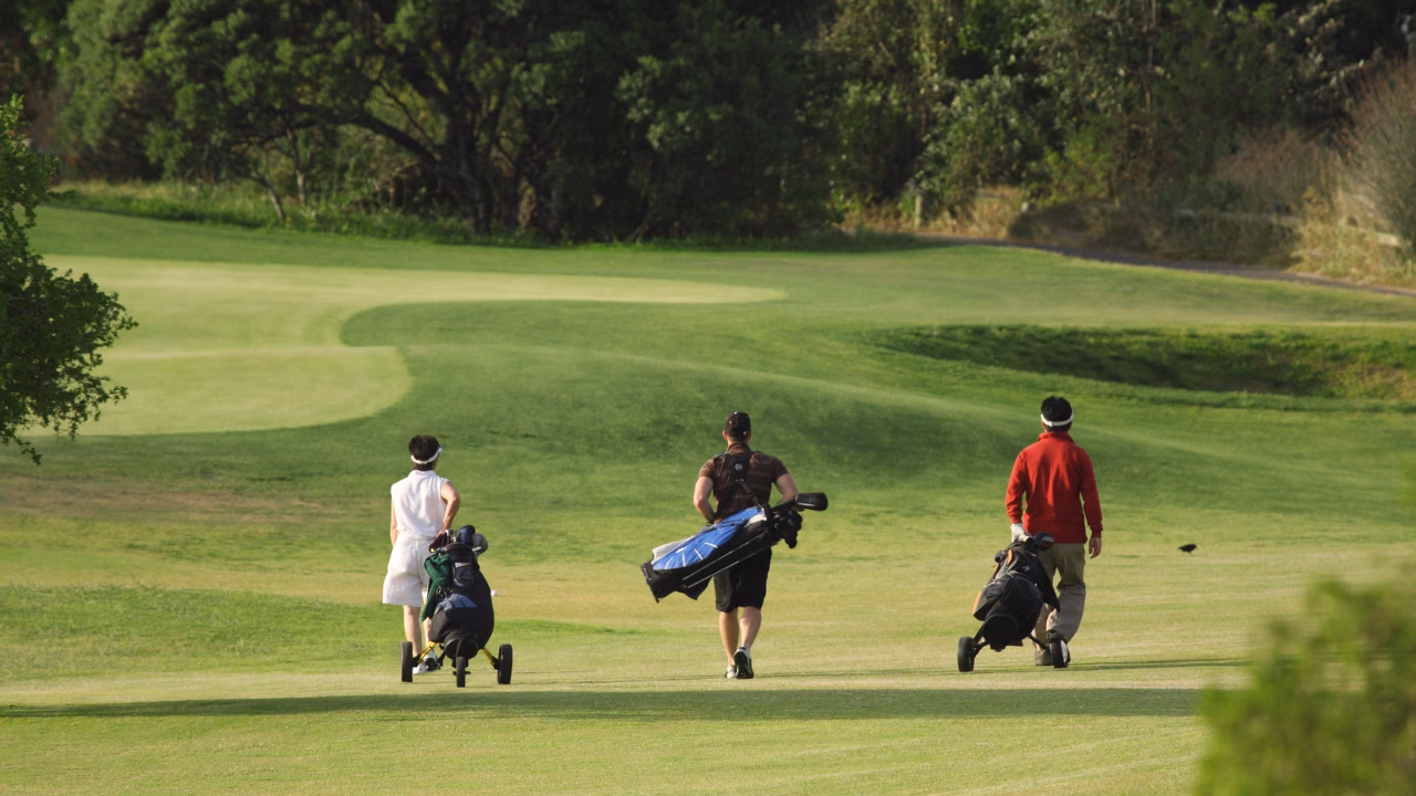 Three golfers walking across the fairway with golf bags.
