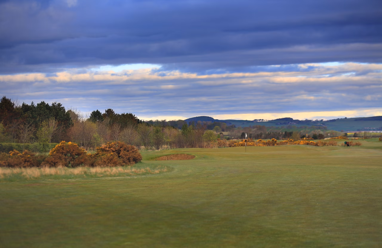 The Balgove Course with a green, gorse, and surrounding woodland.